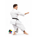 Karatepuku - Daedo - "PRO BUNKAI" - Valkoinen